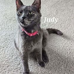 Thumbnail photo of Judy #1