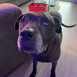 Photo of Kiwi