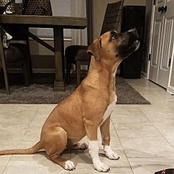 Photo of Star