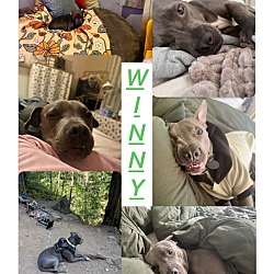 Thumbnail photo of Winny #1