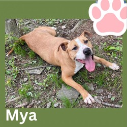 Thumbnail photo of Mya #2