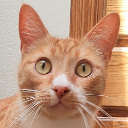Photo of Clyde