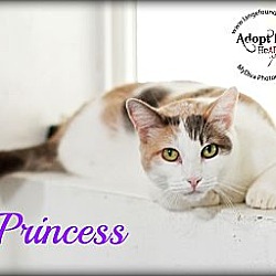 Thumbnail photo of Princess #2