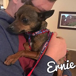 Photo of Ernie