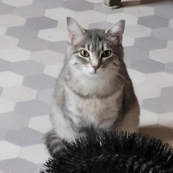 Photo of Zoe