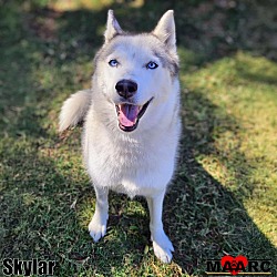 Thumbnail photo of Skylar #2