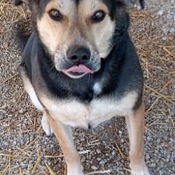 Photo of Megana (Magoo)