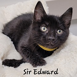 Photo of Sir Edward