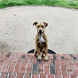 Thumbnail photo of Lucy #1