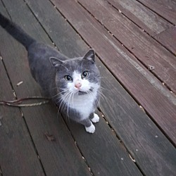 Photo of Kevin