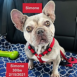 Thumbnail photo of Simone #3