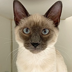 Photo of Sam