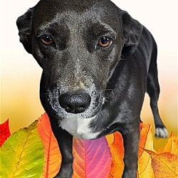 Thumbnail photo of Jasmine #1