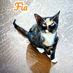 Photo of Fia