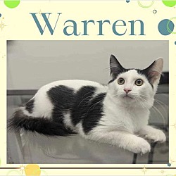 Thumbnail photo of Warren #2