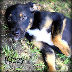 Thumbnail photo of Kizzy~adopted! #1