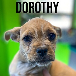 Photo of Dorothy