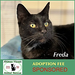 Photo of Freda