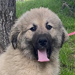 Photo of WILMA