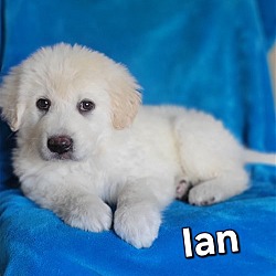 Photo of Ian