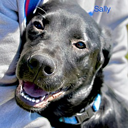 Photo of Sally ~ meet me!