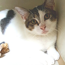 Thumbnail photo of Julian #2