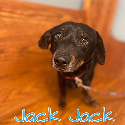 Photo of Jack Jack