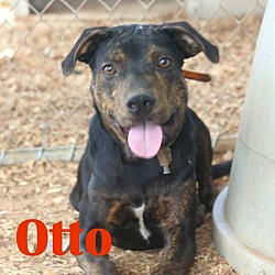 Thumbnail photo of Otto #1