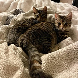 Photo of Annie & Charlie