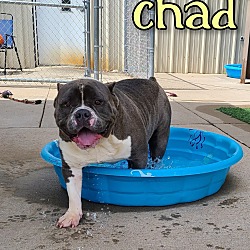 Photo of Chad