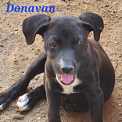 Photo of Donavan
