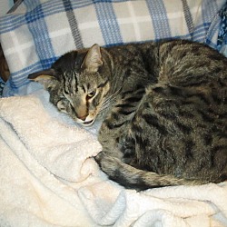 Photo of Slick