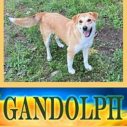 Photo of Gandolph