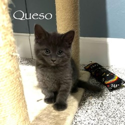 Photo of Queso