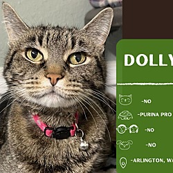 Thumbnail photo of Dolly #1