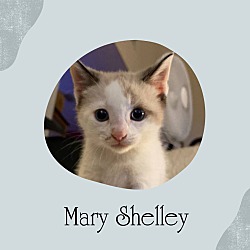 Thumbnail photo of Mary Shelley #1