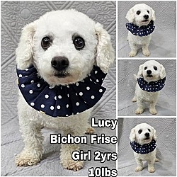 Photo of Lucy from Korea