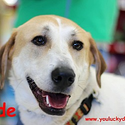 Thumbnail photo of Clyde #4