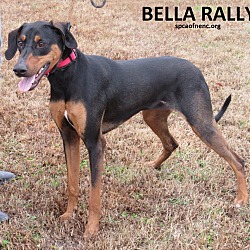 Thumbnail photo of Bella Rally #2