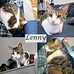 Thumbnail photo of Lenny & Laila #3