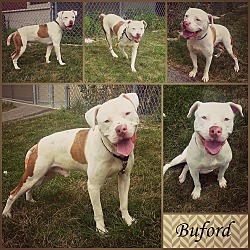 Photo of Buford