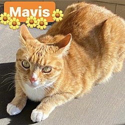 Photo of Mavis