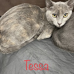 Thumbnail photo of Tessa #1