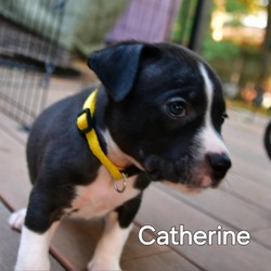 Thumbnail photo of Catherine #4