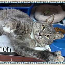 Thumbnail photo of TIMON #2