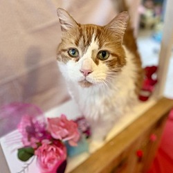 Photo of Sully