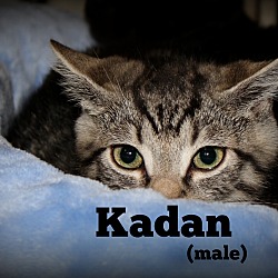 Thumbnail photo of Kaden #1