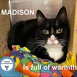 Photo of Madison