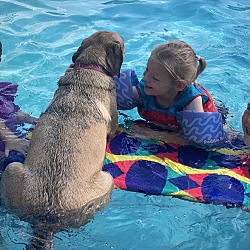 Thumbnail photo of Sadie loves to swim! #2