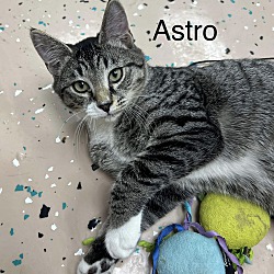 Thumbnail photo of Astro #4